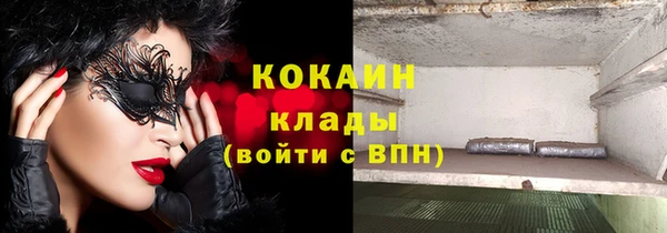 ГАЛЛЮЦИНОГЕННЫЕ ГРИБЫ Няндома