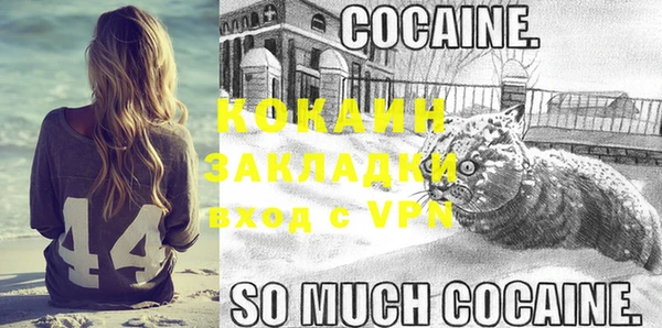 ГАЛЛЮЦИНОГЕННЫЕ ГРИБЫ Няндома