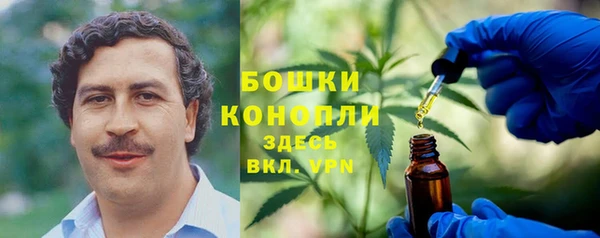 ГАЛЛЮЦИНОГЕННЫЕ ГРИБЫ Няндома