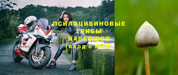 ГАЛЛЮЦИНОГЕННЫЕ ГРИБЫ Няндома