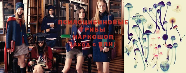 мдпв Нязепетровск