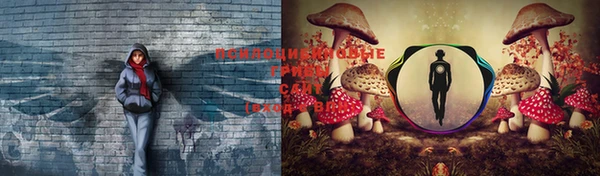 ГАЛЛЮЦИНОГЕННЫЕ ГРИБЫ Няндома