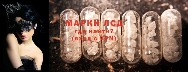 ГАЛЛЮЦИНОГЕННЫЕ ГРИБЫ Няндома